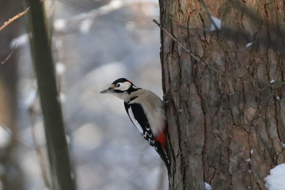 Photograph by Елена Иванкина