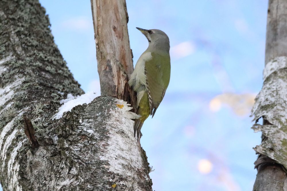 Photograph by Елена Иванкина