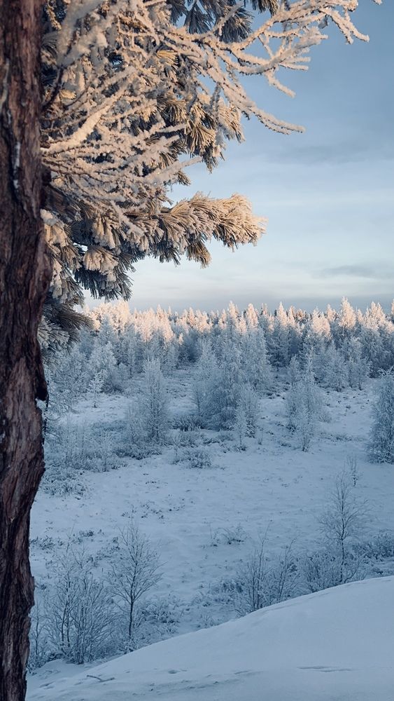 Photograph by Кристина Мишина