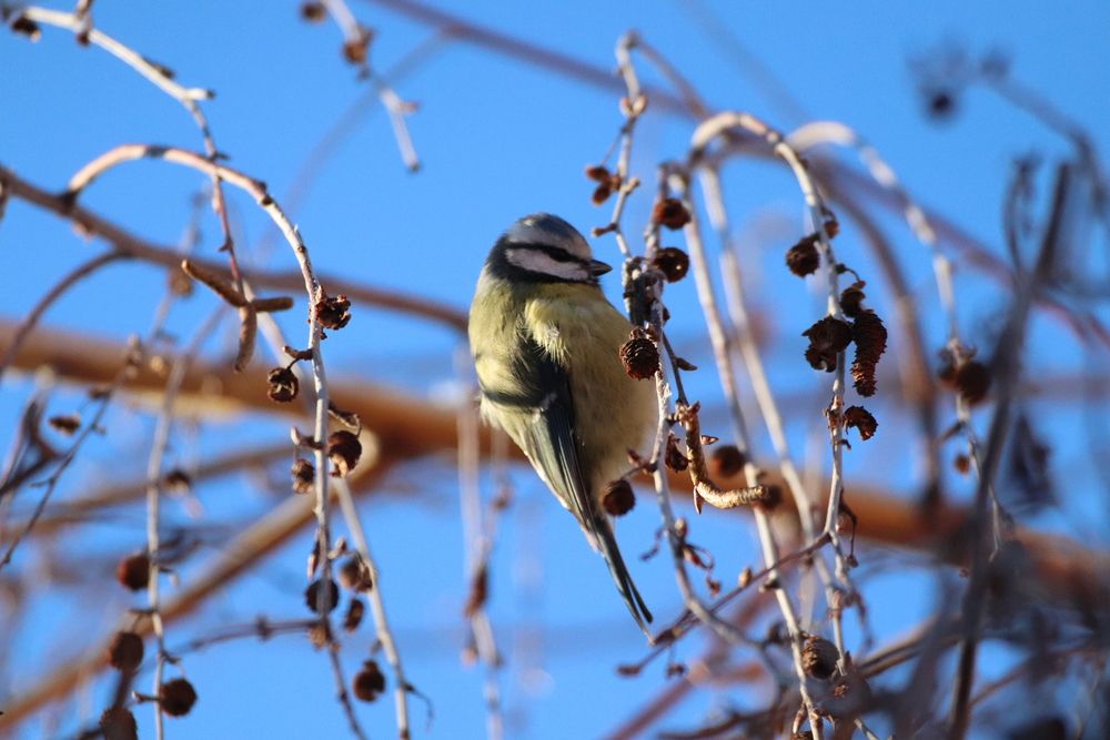 Photograph by Елена Иванкина