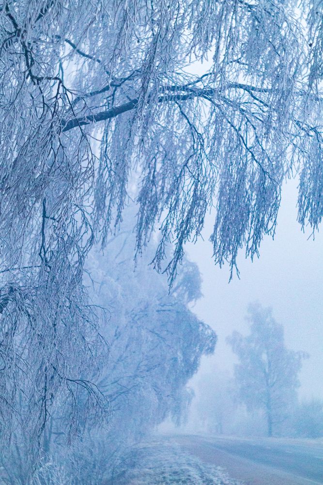 Фотография автора Aamoda Kitchen