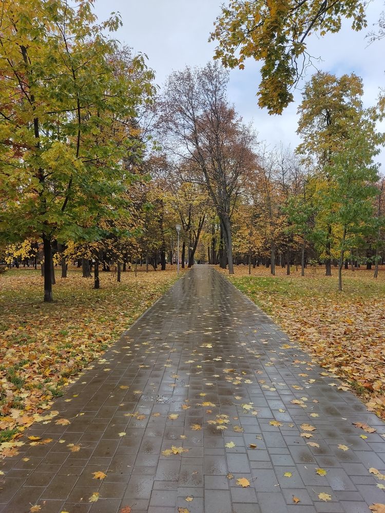 Photograph by Елена Иванкина