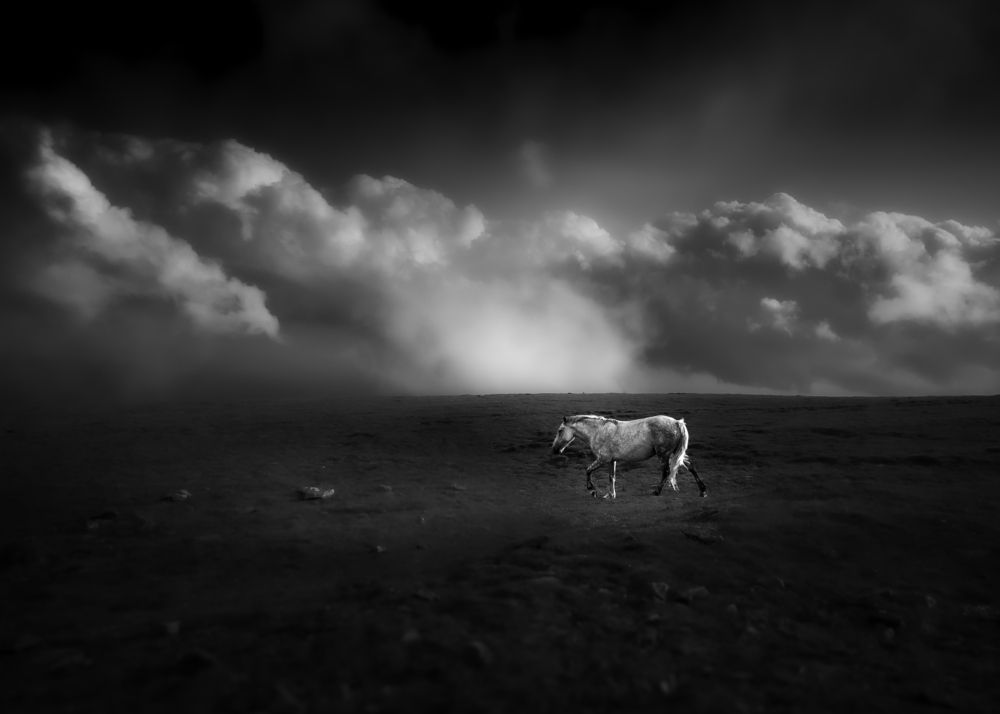 Photograph by Бобчева Веселина