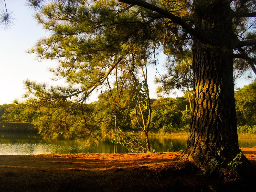 Photograph by Antonio Carvalho