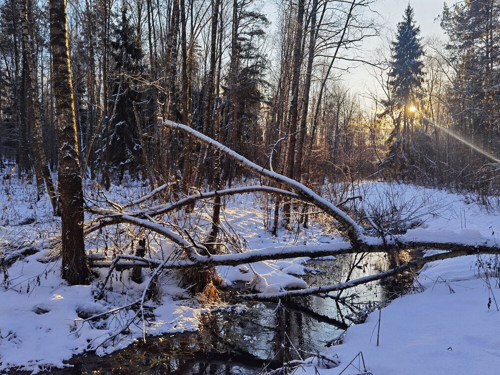 Photograph by Владимир Арбесман