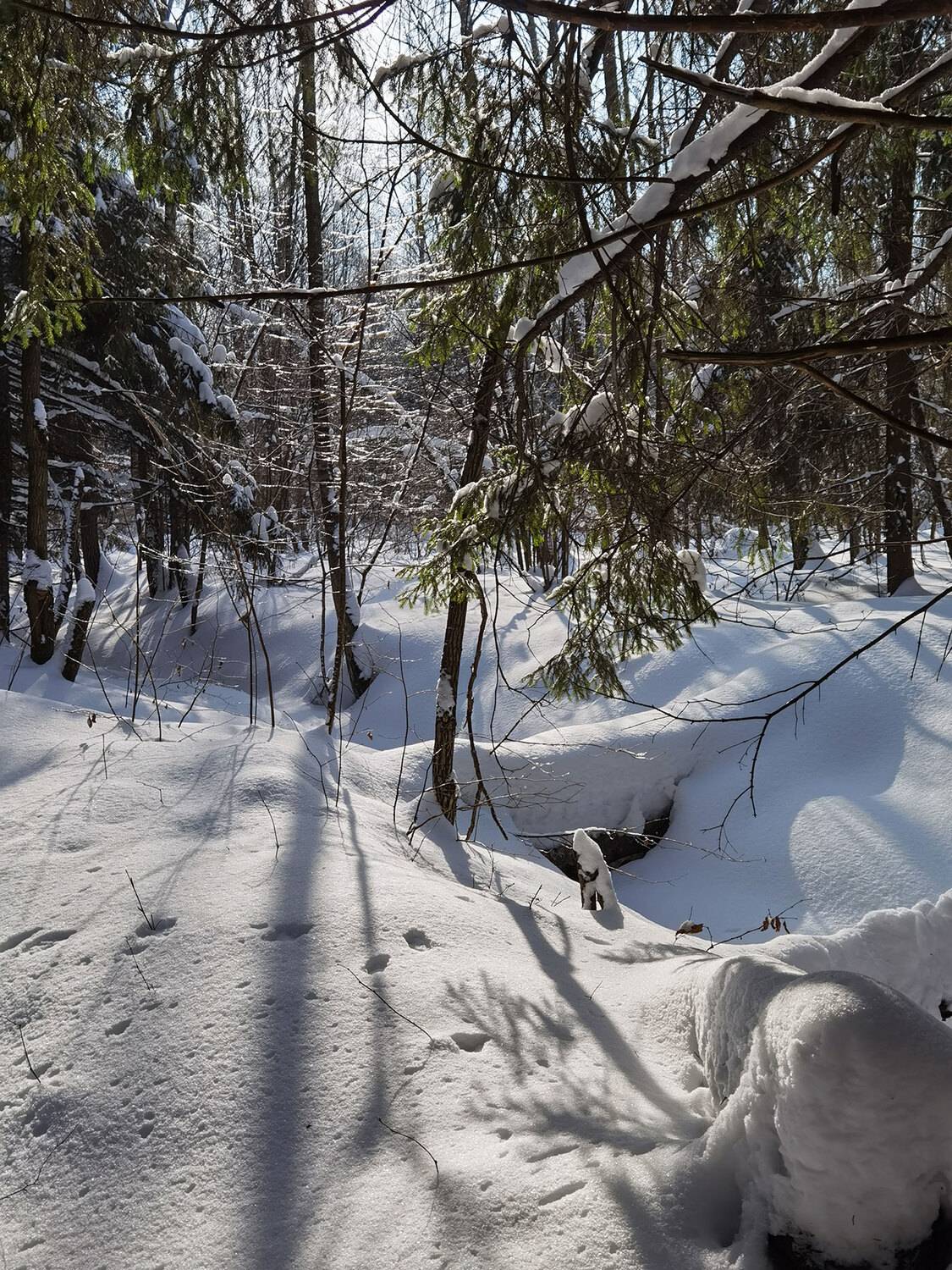 Фотография #13081213