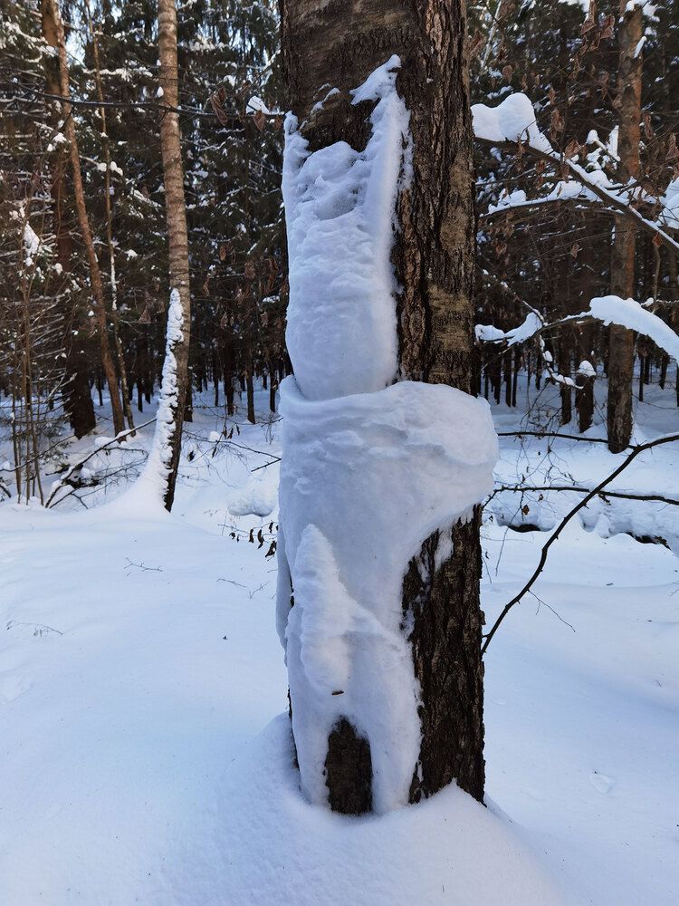 Photograph by Владимир Арбесман