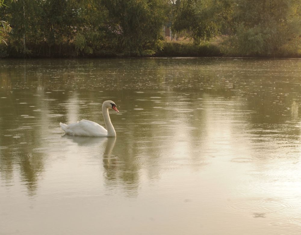 Photograph by Антон Иванов