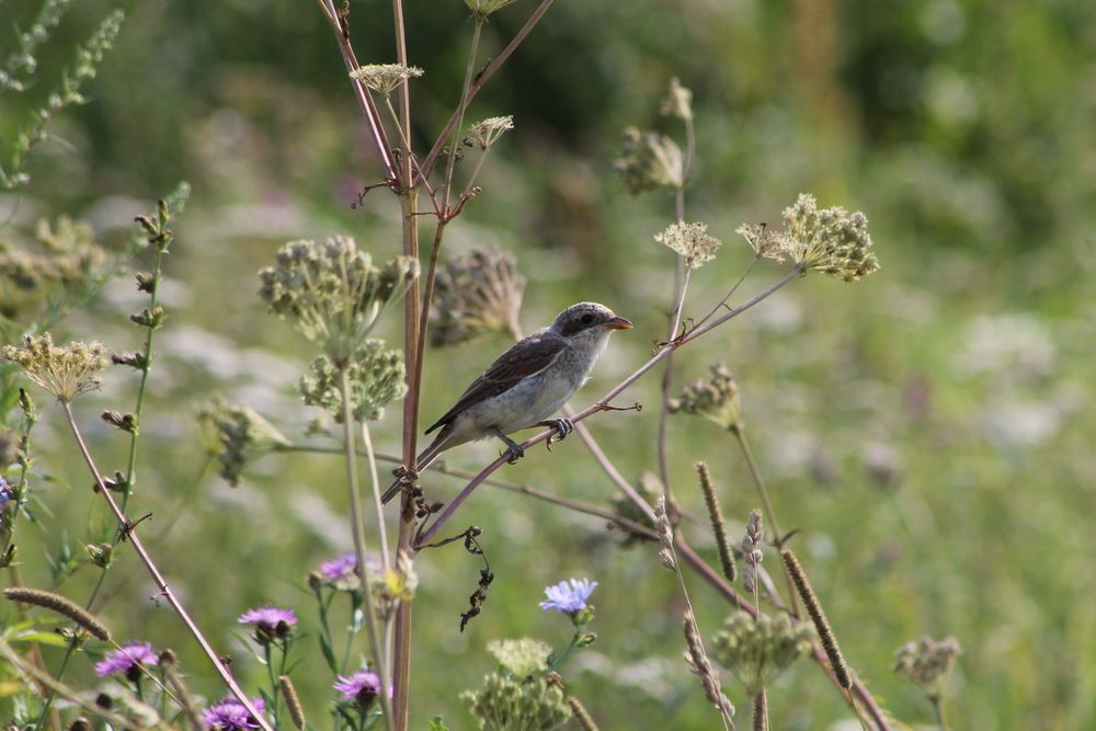 Photograph by Антон Иванов