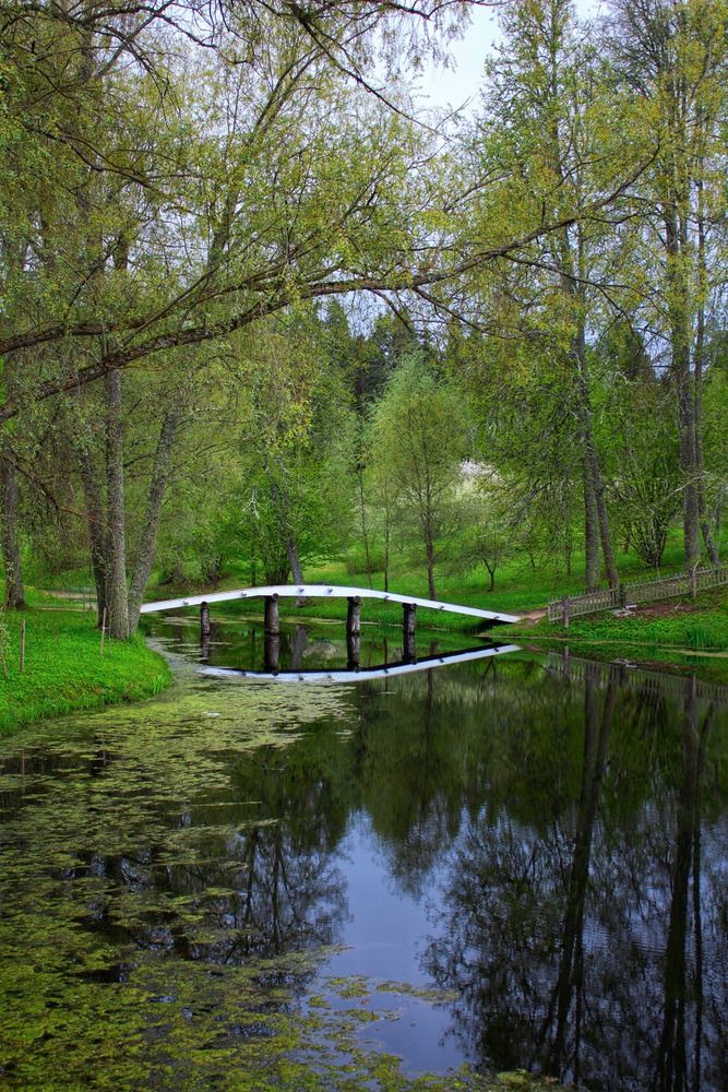 Photograph by Мария Василенко