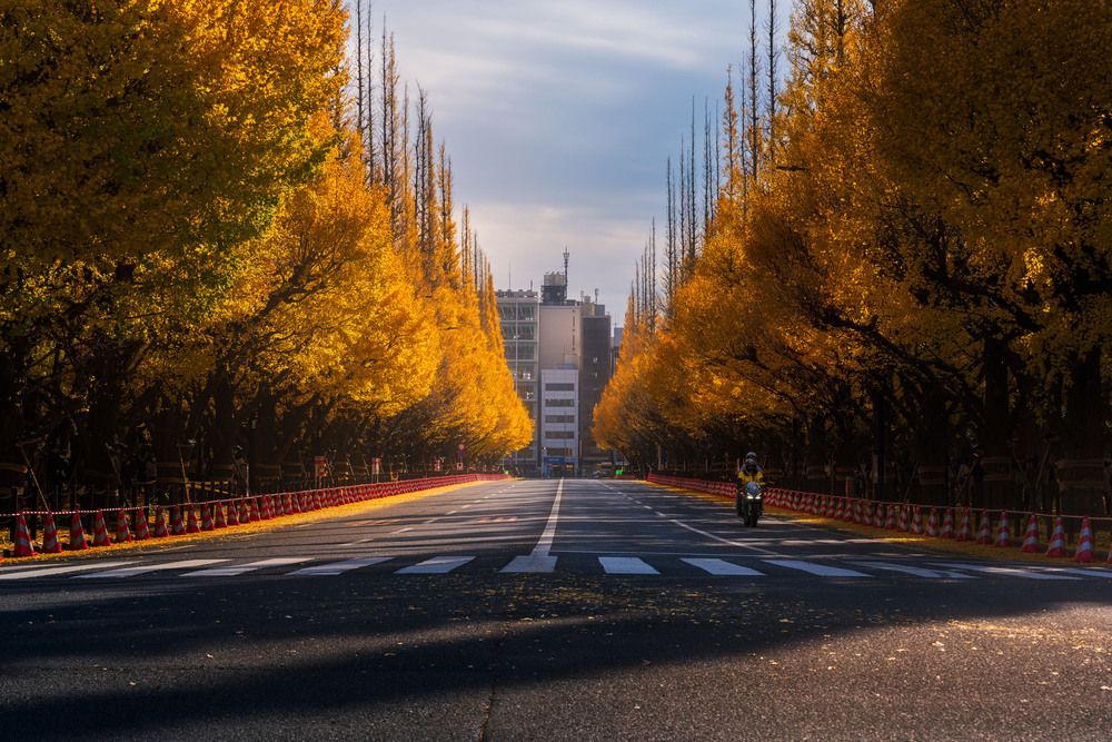 Photograph by Сергей Садов