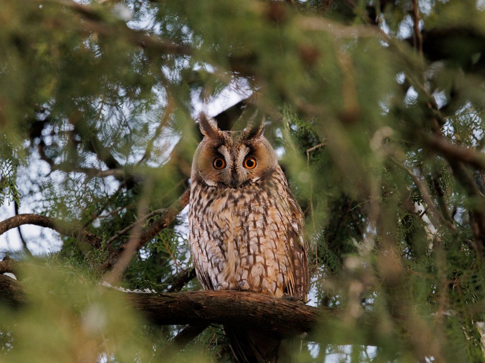 Photograph by Maxim Lip