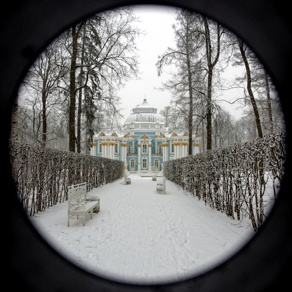 Фотография автора Андрей Панин