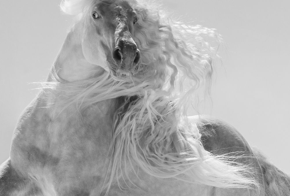 Photograph by Ebeling Samantha Dawn