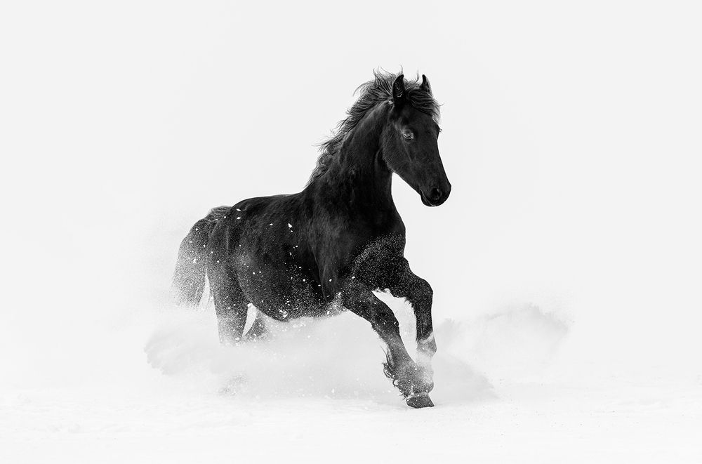 Photograph by Ebeling Samantha Dawn