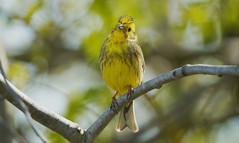 Photograph by Владимир Соколов