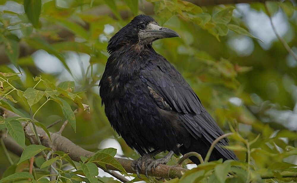 Photograph by Владимир Соколов