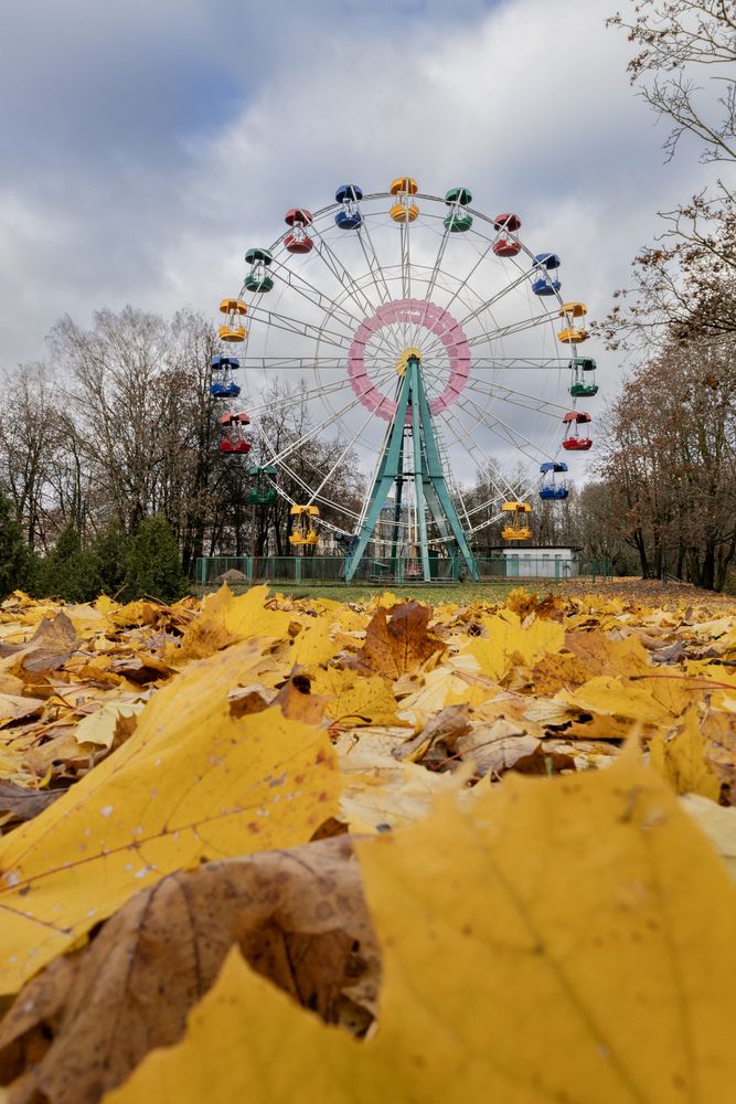 Photograph by Александр Новиков