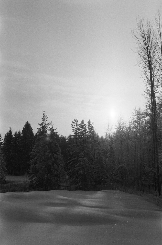 Photograph by Maxim Lip