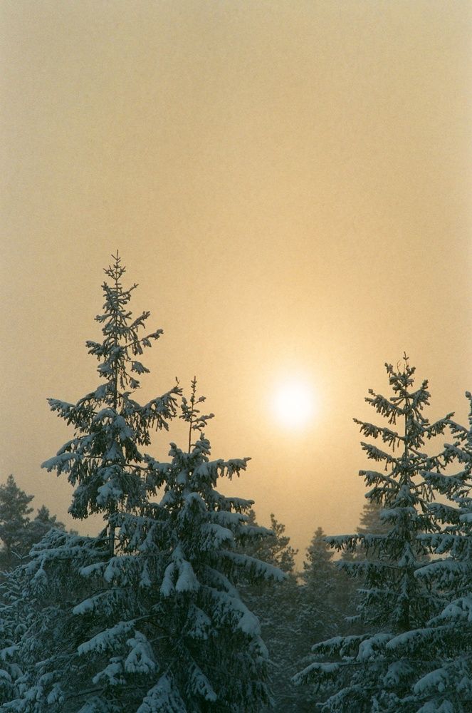 Photograph by Maxim Lip