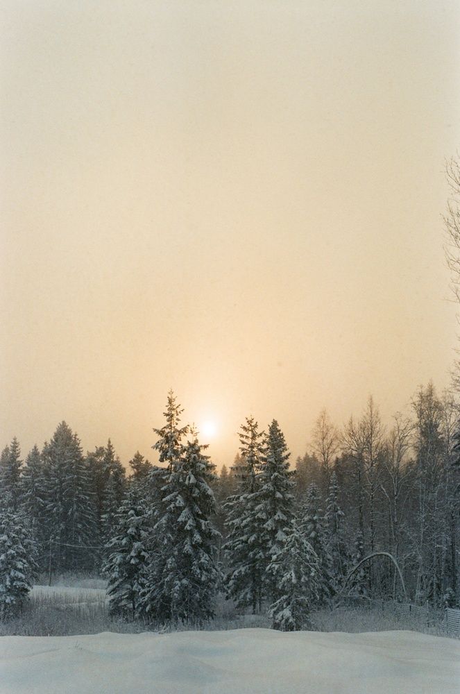 Photograph by Maxim Lip