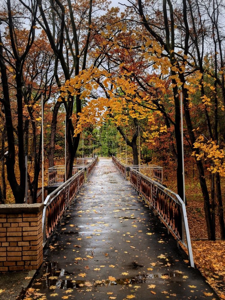 Photograph by Кривенко Владимир