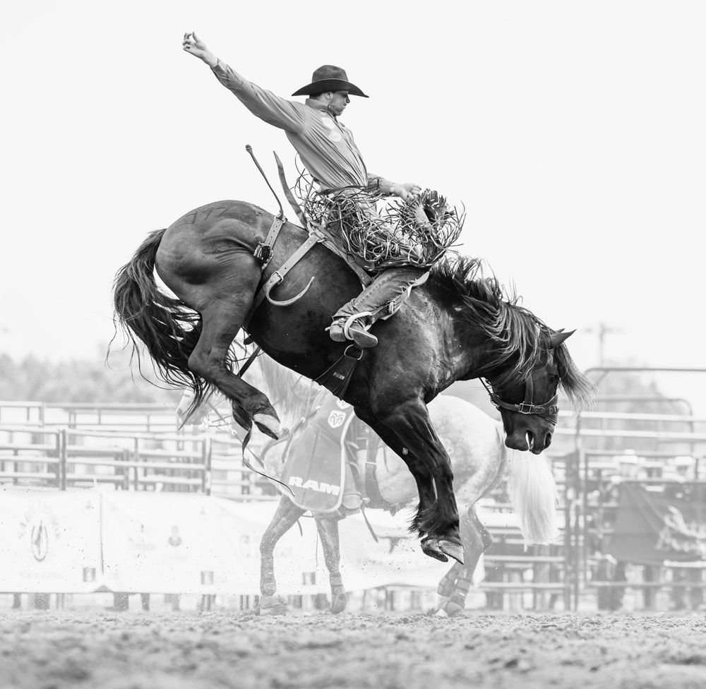 Photograph by Ebeling Samantha Dawn