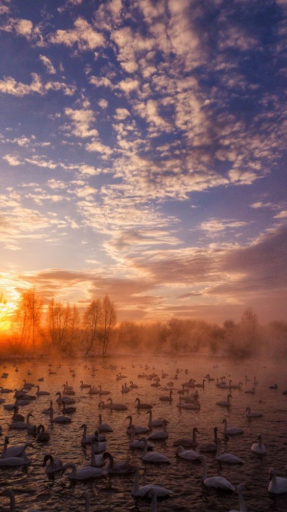 Фотография автора Анна Семенова