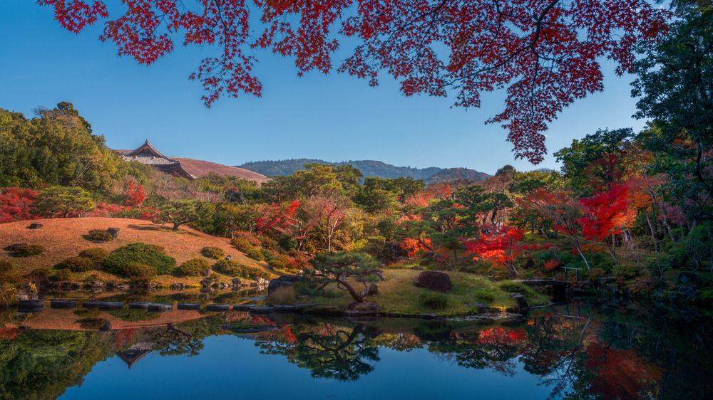 Photograph by Сергей Садов