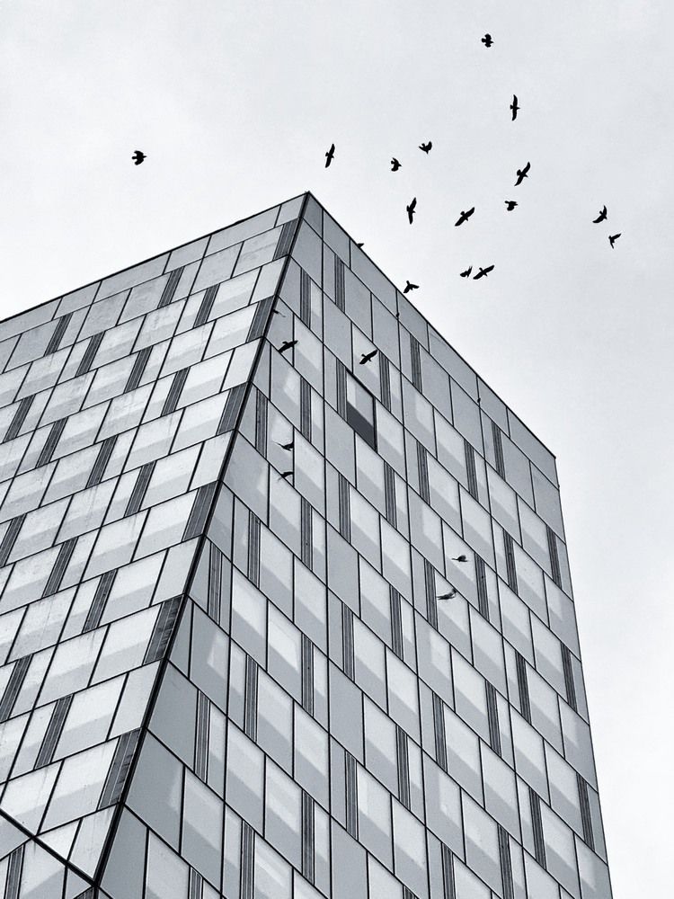 Photograph by Виктор Вагнер