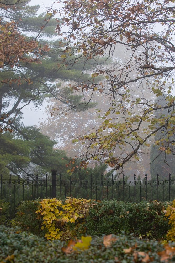 Photograph by Ирина Регульская