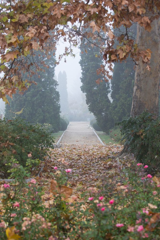 Photograph by Ирина Регульская