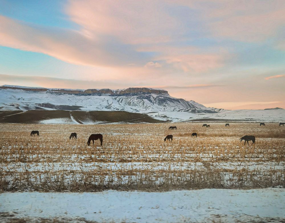 Фотография автора Inna Ivanova