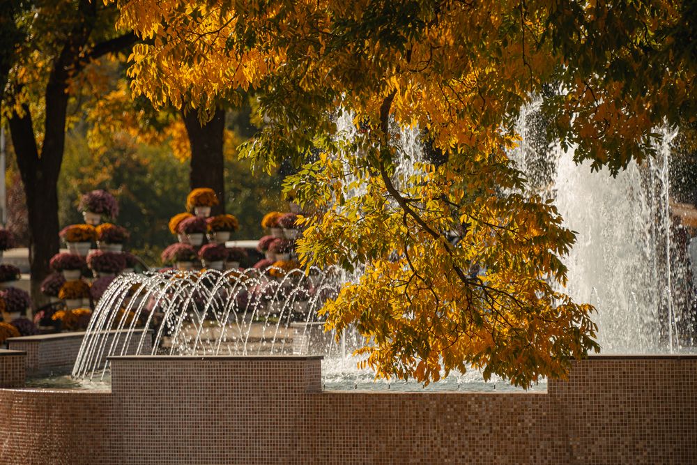 Photograph by Ирина Регульская