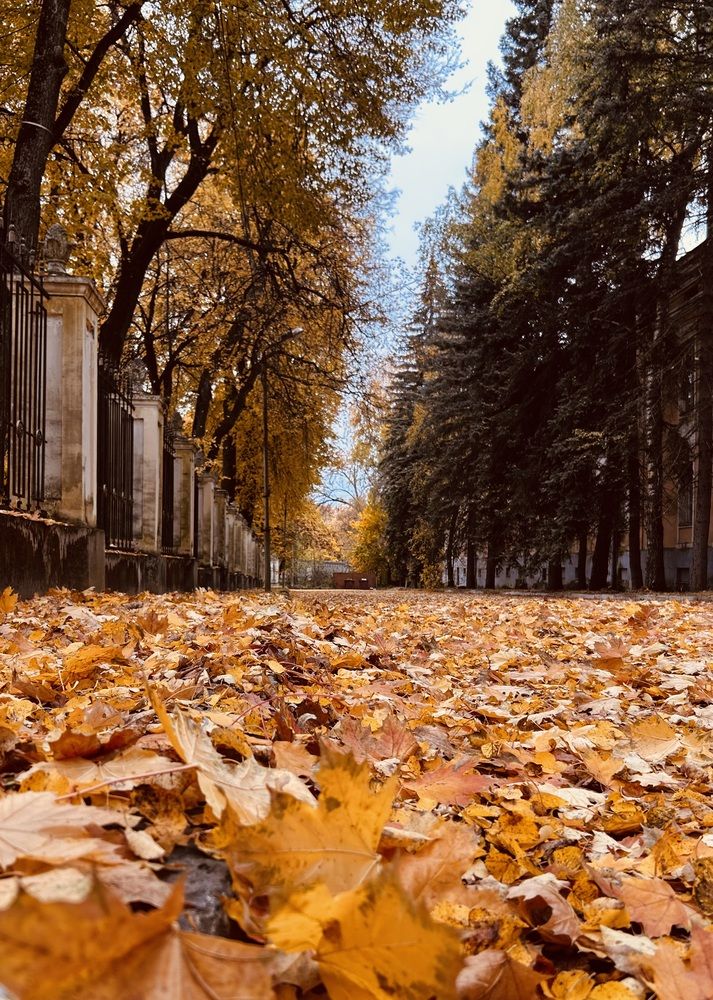 Photograph by Наталья Гусева