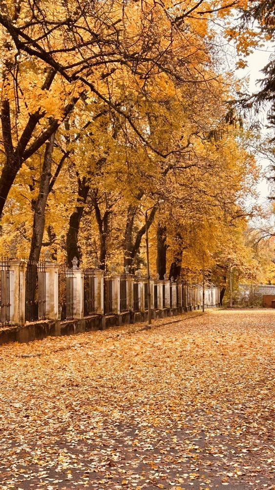 Photograph by Наталья Гусева