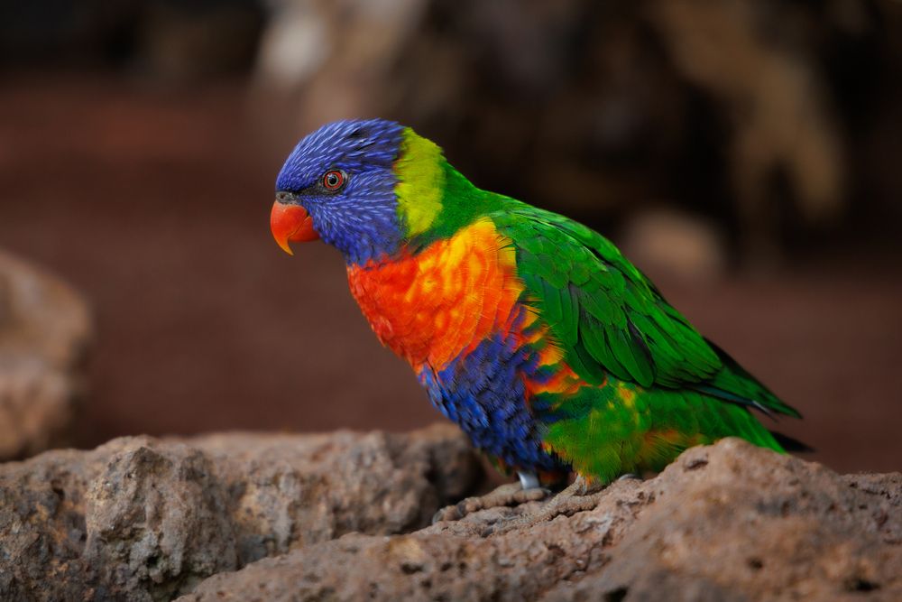 Photograph by Maxim Lip