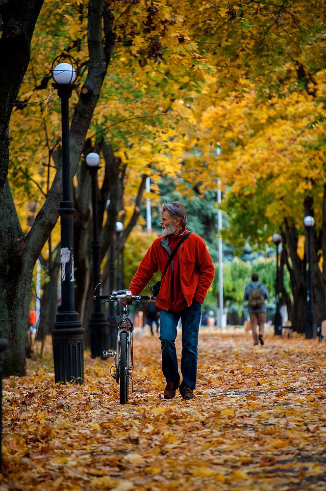 Photograph by Ирина Регульская