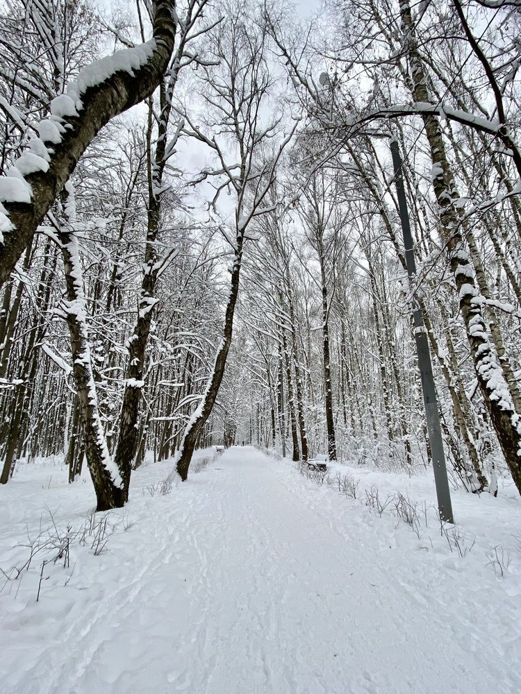 Photograph by Елизавета Корнилова