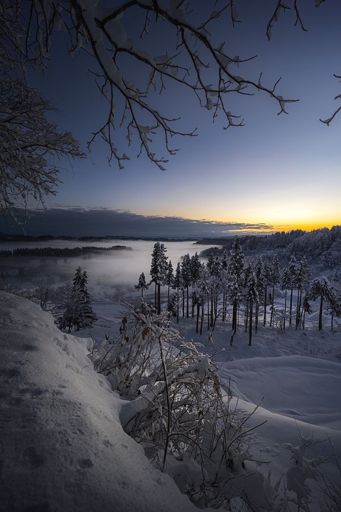 Фотография автора NAGUMO SHUTO