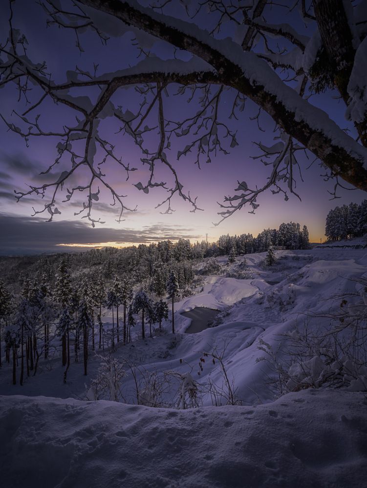 Фотография автора NAGUMO SHUTO