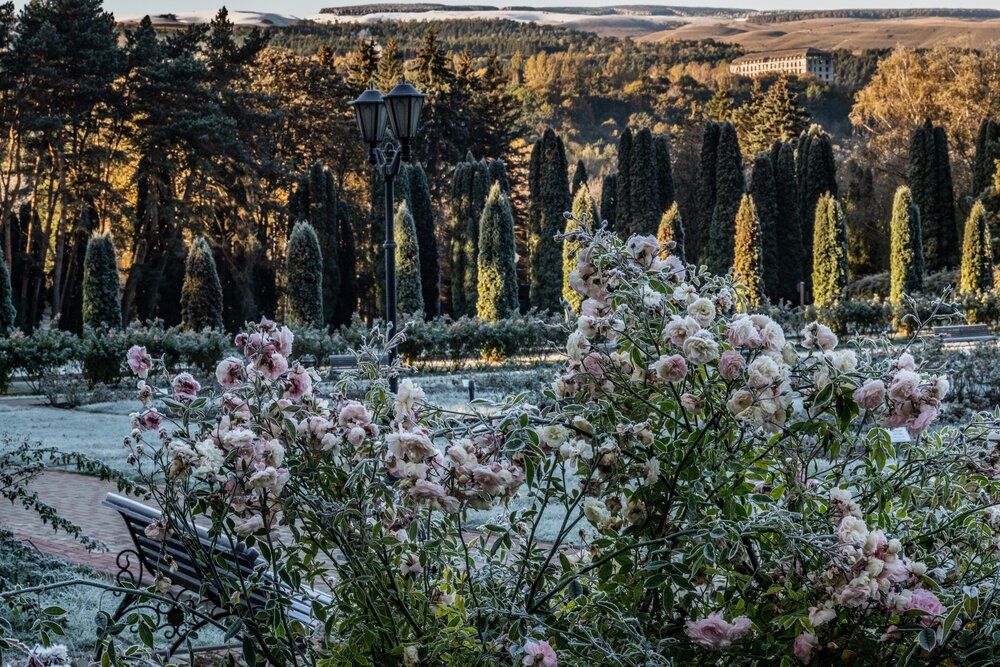 Photograph by Власов Андрей