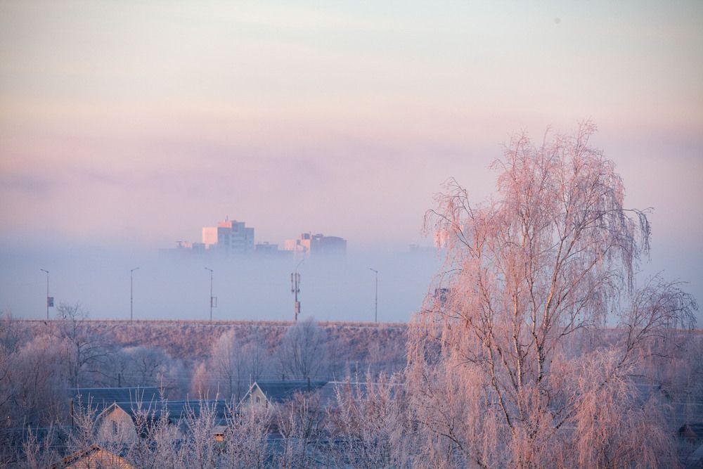 Фотография автора Алексей Борисов