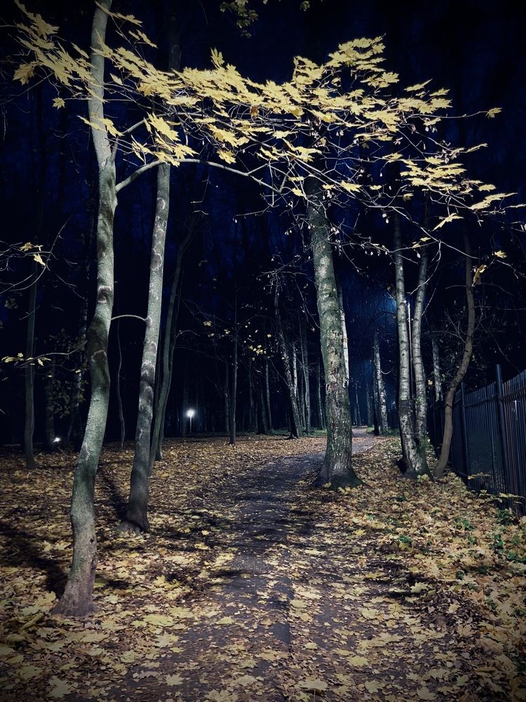 Photograph by Светлана Голикова