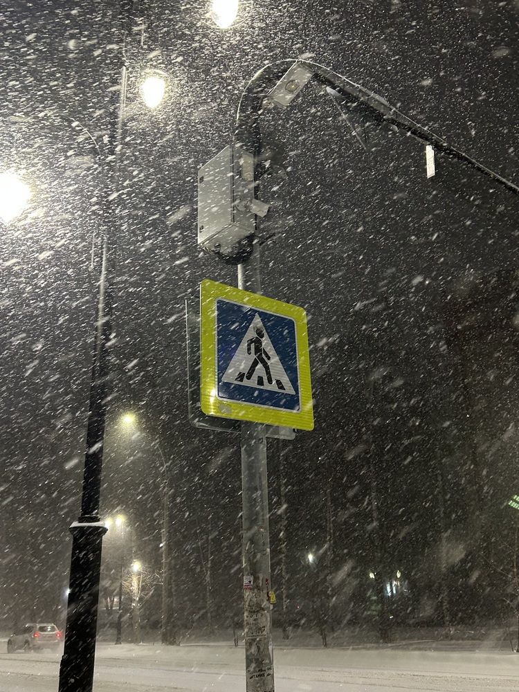 Photograph by Анастасия Ашапатова