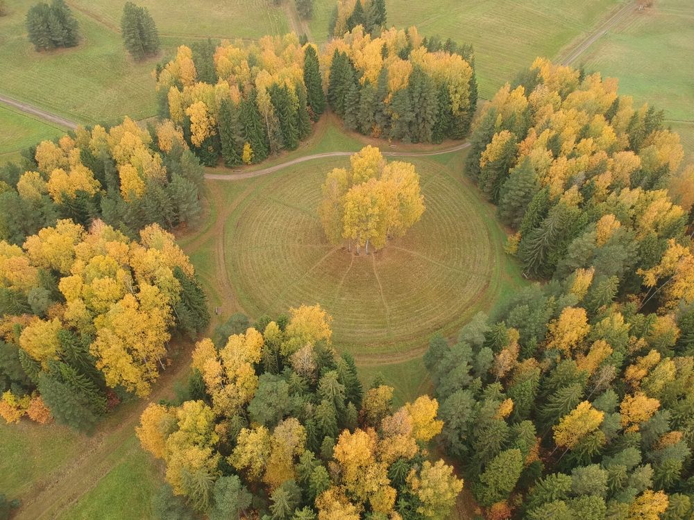 Photograph by Александр Коровин