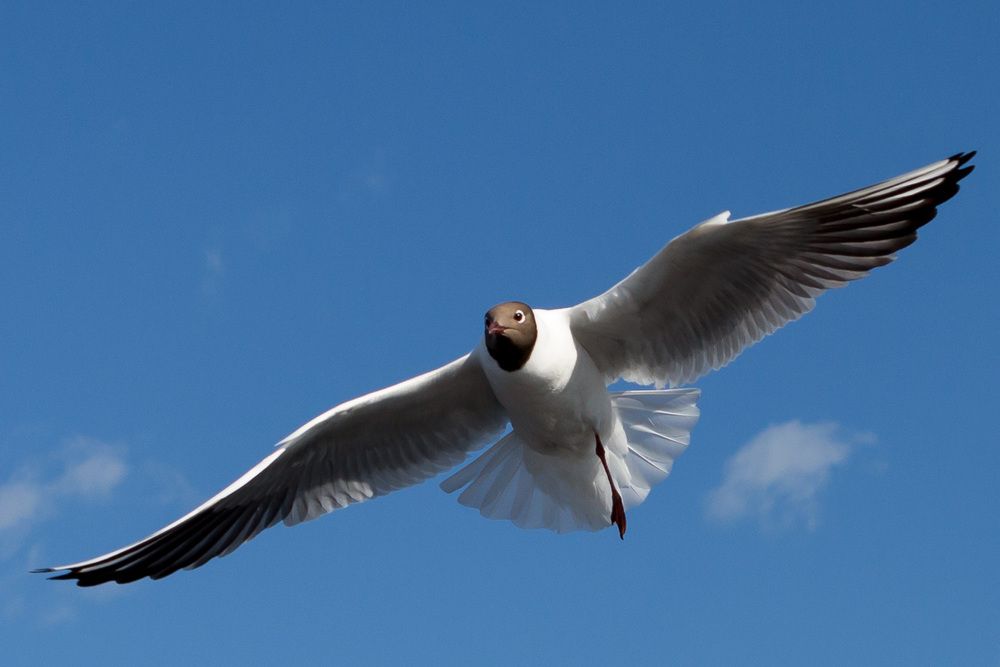 Photograph by Oleg Patrin