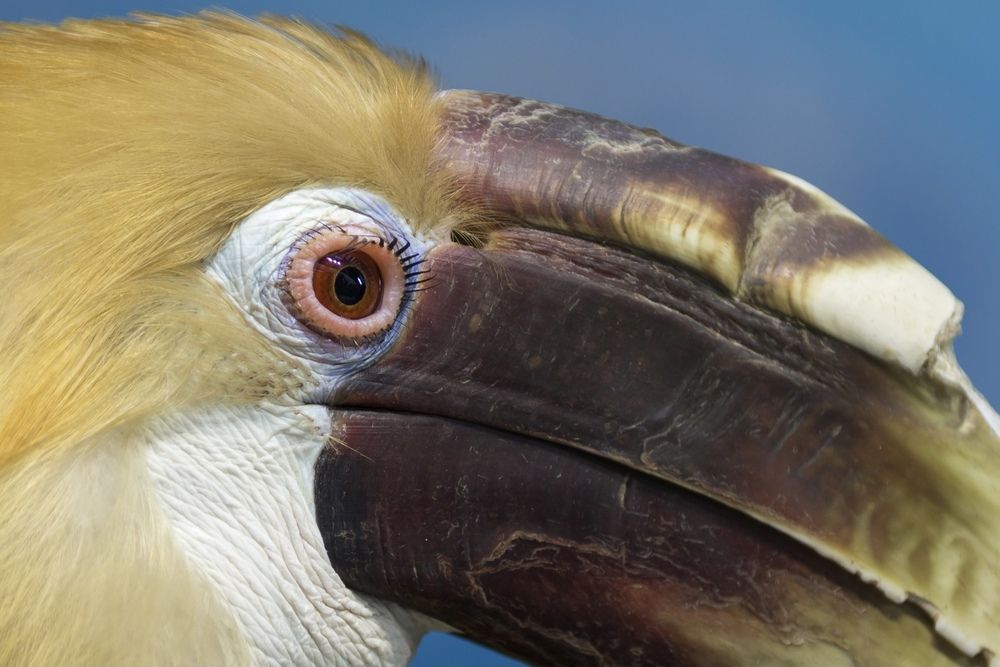 Photograph by Oleg Patrin