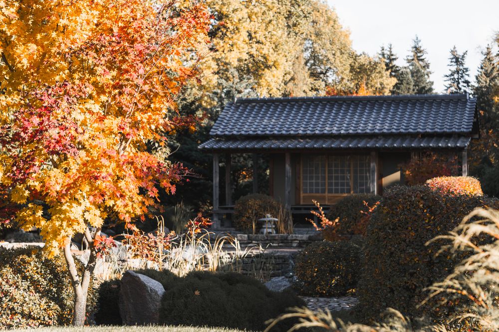 Photograph by Андрей Соколов