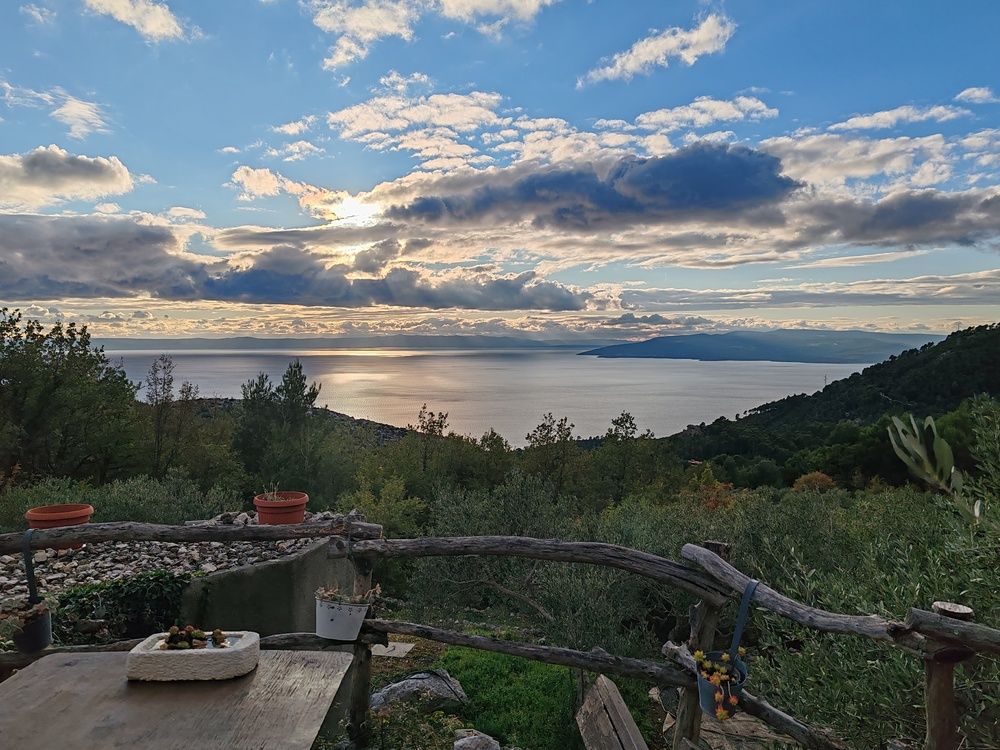 Фотография автора Alena Urlic